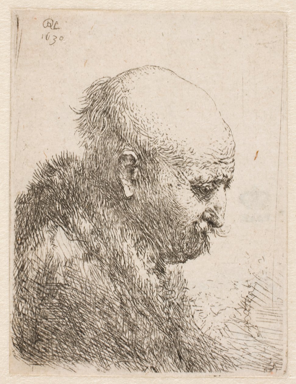 Skaldet mand (Rembrandts far) set i profil til højre; lille buste af Rembrandt van Rijn