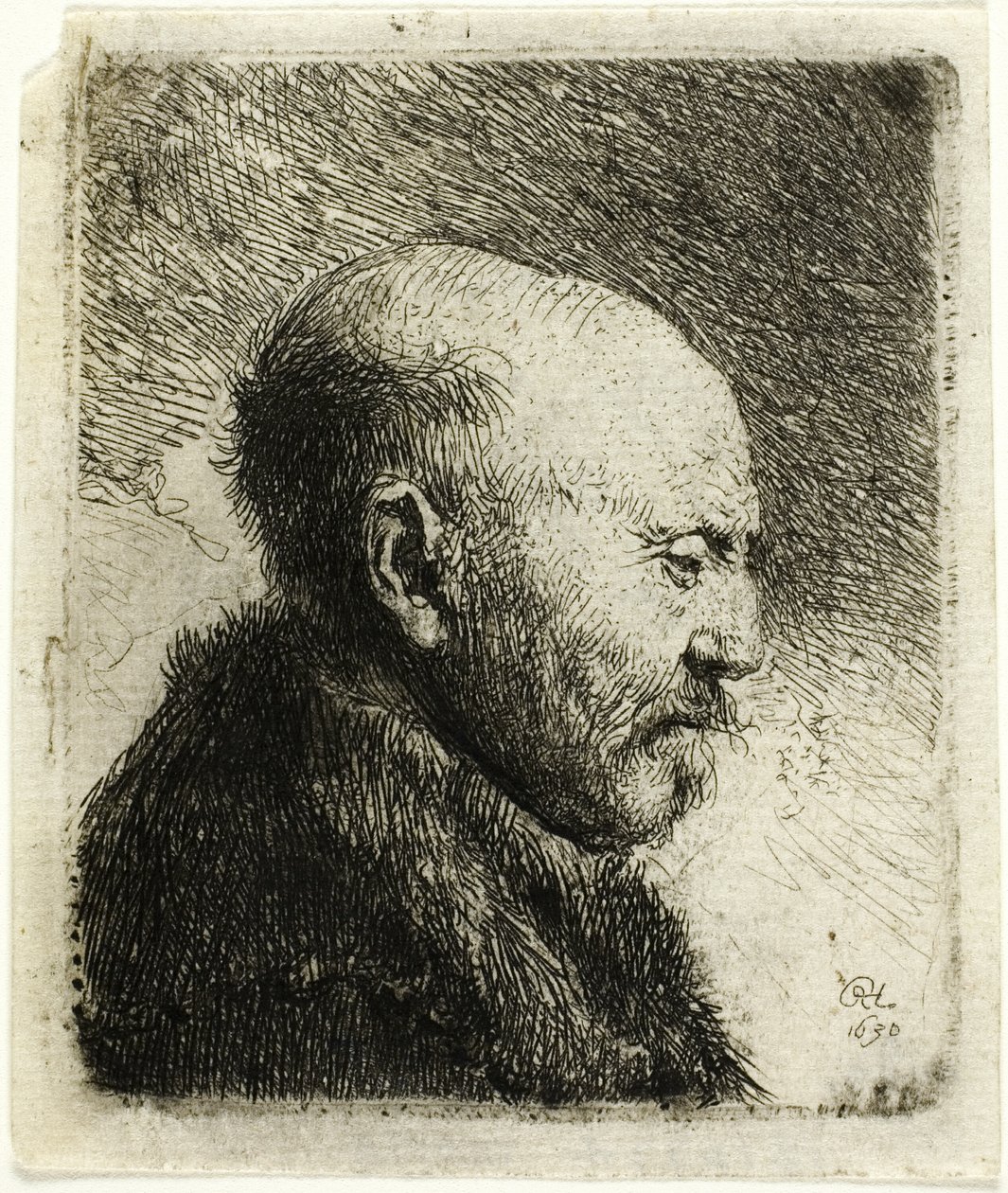 Skaldet mand i profil til højre: Kunstnerens far () af Rembrandt van Rijn