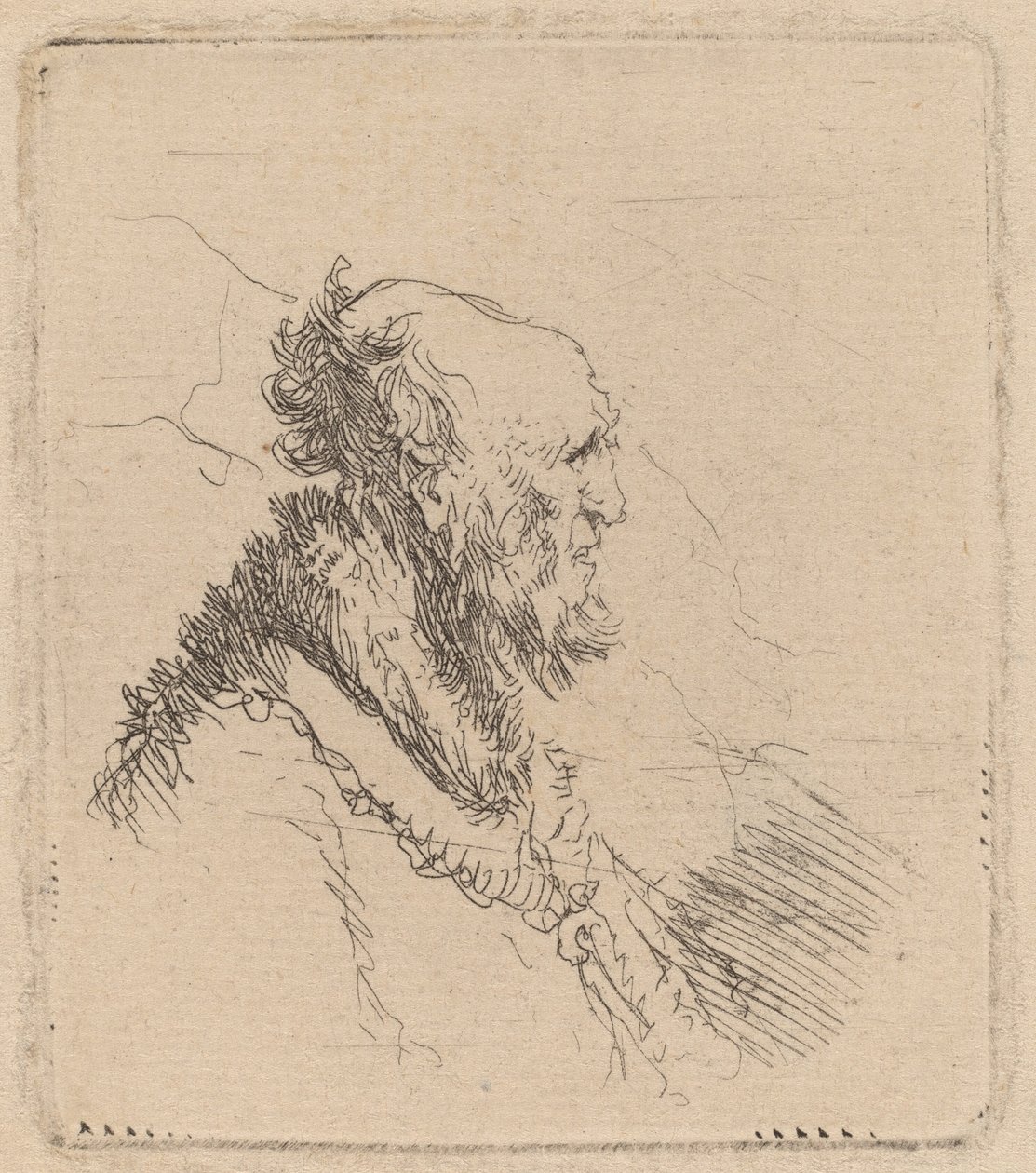 Skaldet gammel mand med kort skæg i profil af Rembrandt van Rijn