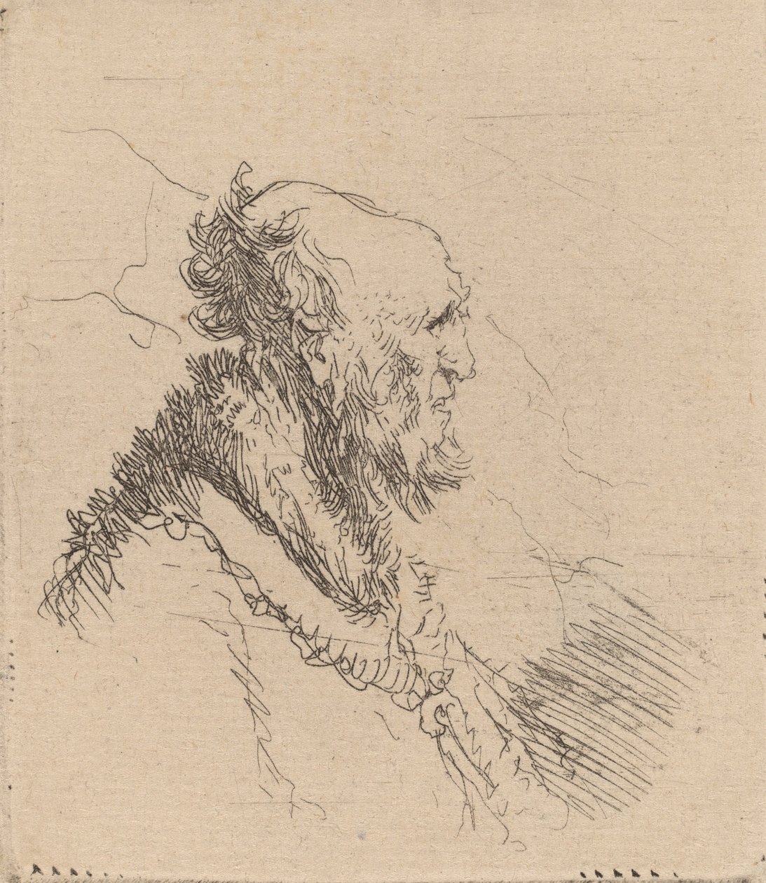 Skaldet gammel mand med kort skæg i profil, ca. 1635. af Rembrandt van Rijn