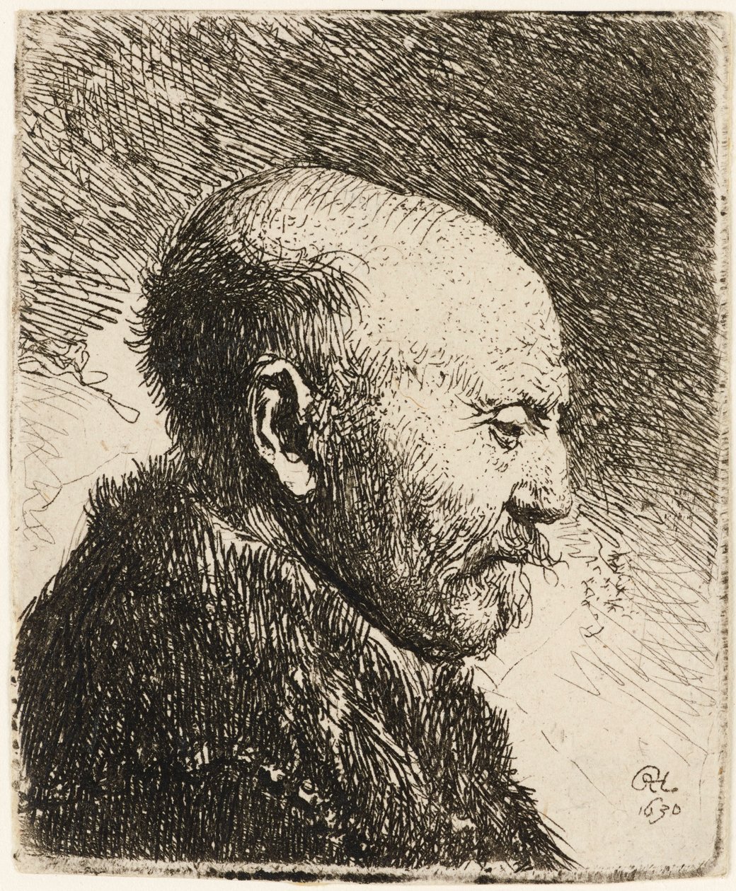 Skaldet mand i profil til højre: Rembrandts far 1630. af Rembrandt van Rijn