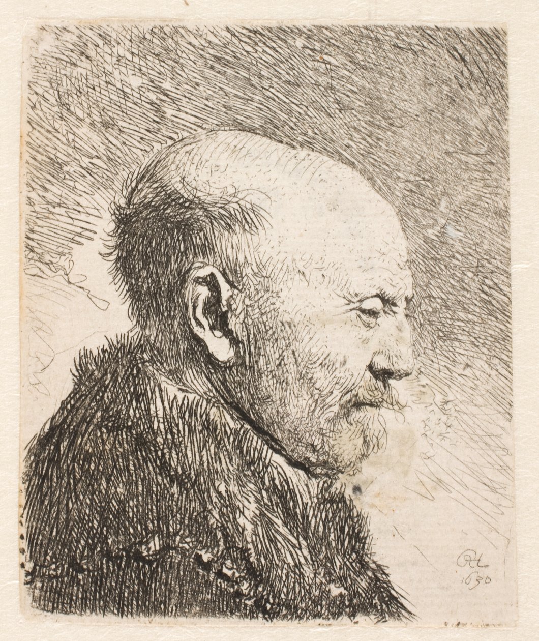 Skaldet mand i profil (Rembrandts far?) af Rembrandt van Rijn