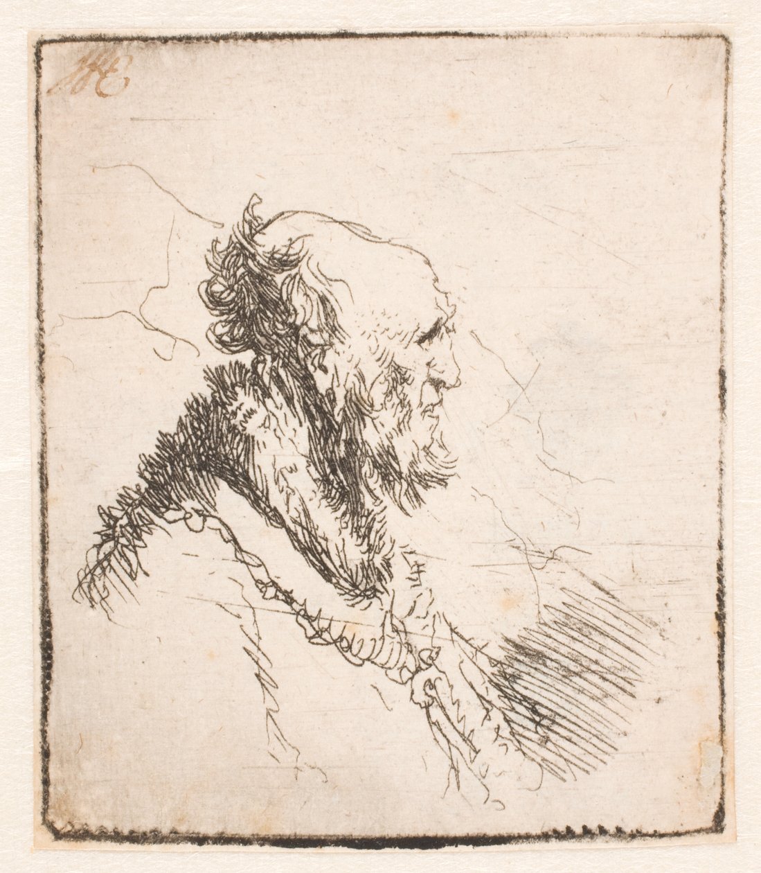 Skaldet gammel mand med kort skæg, i profil til højre af Rembrandt van Rijn