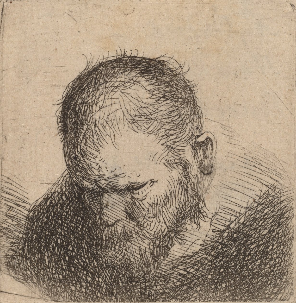 Skægget mand ser ned, muligvis 1631. af Rembrandt van Rijn