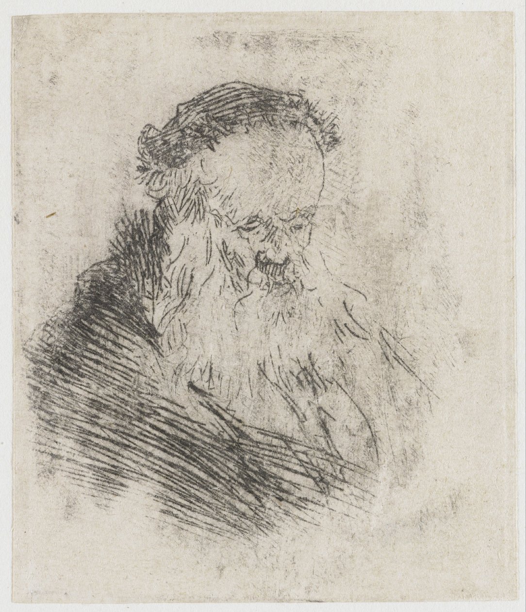 Skægget gammel mand med høj pande af Rembrandt van Rijn