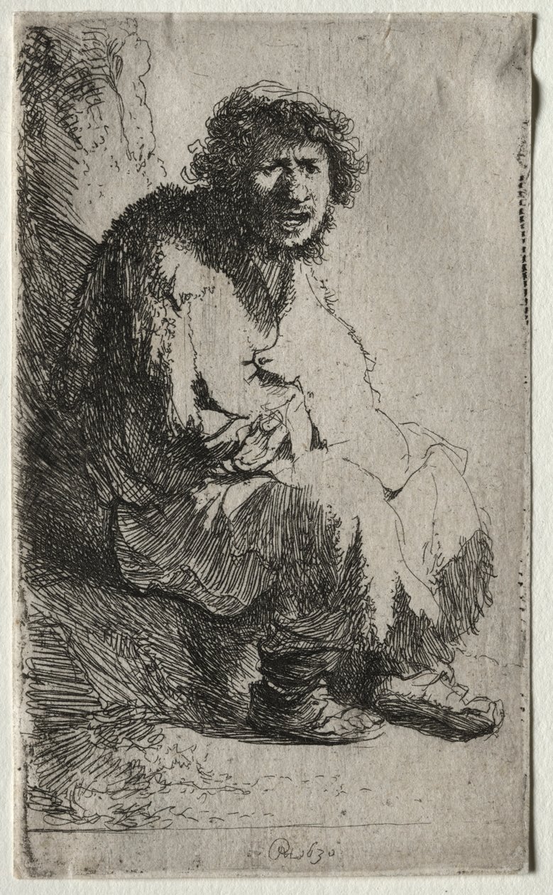 Tigger siddende på en bank, 1630. af Rembrandt van Rijn