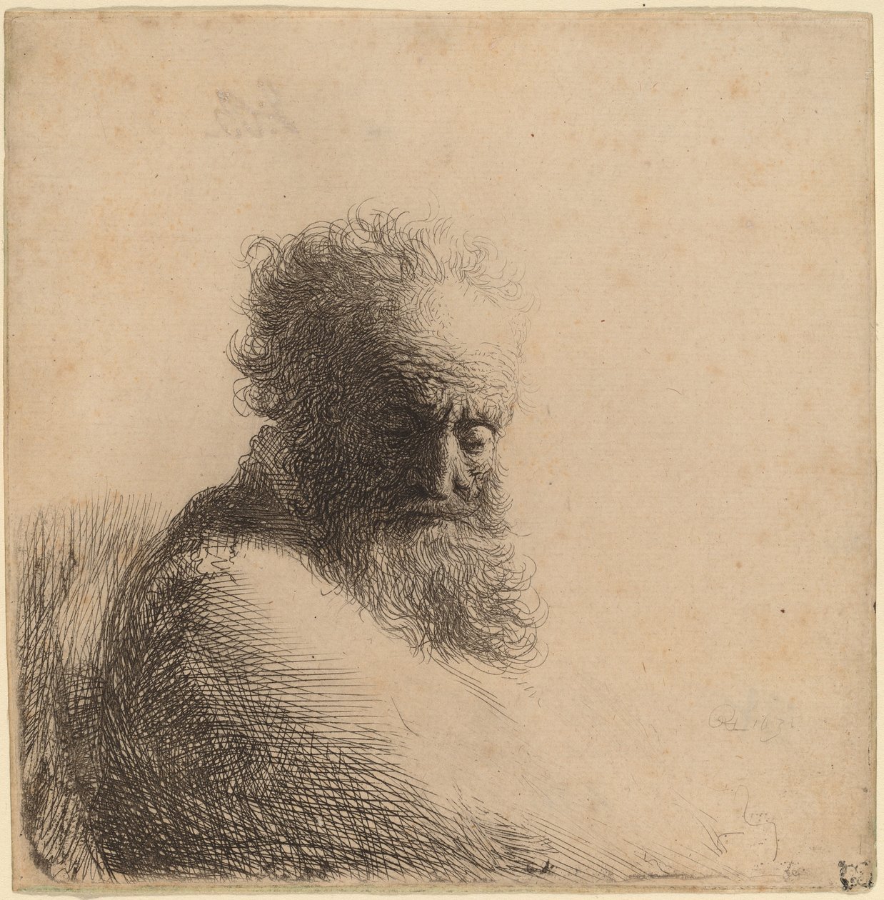 Buste af en gammel skægget mand, ser ned, tre fjerdedele til højre af Rembrandt van Rijn
