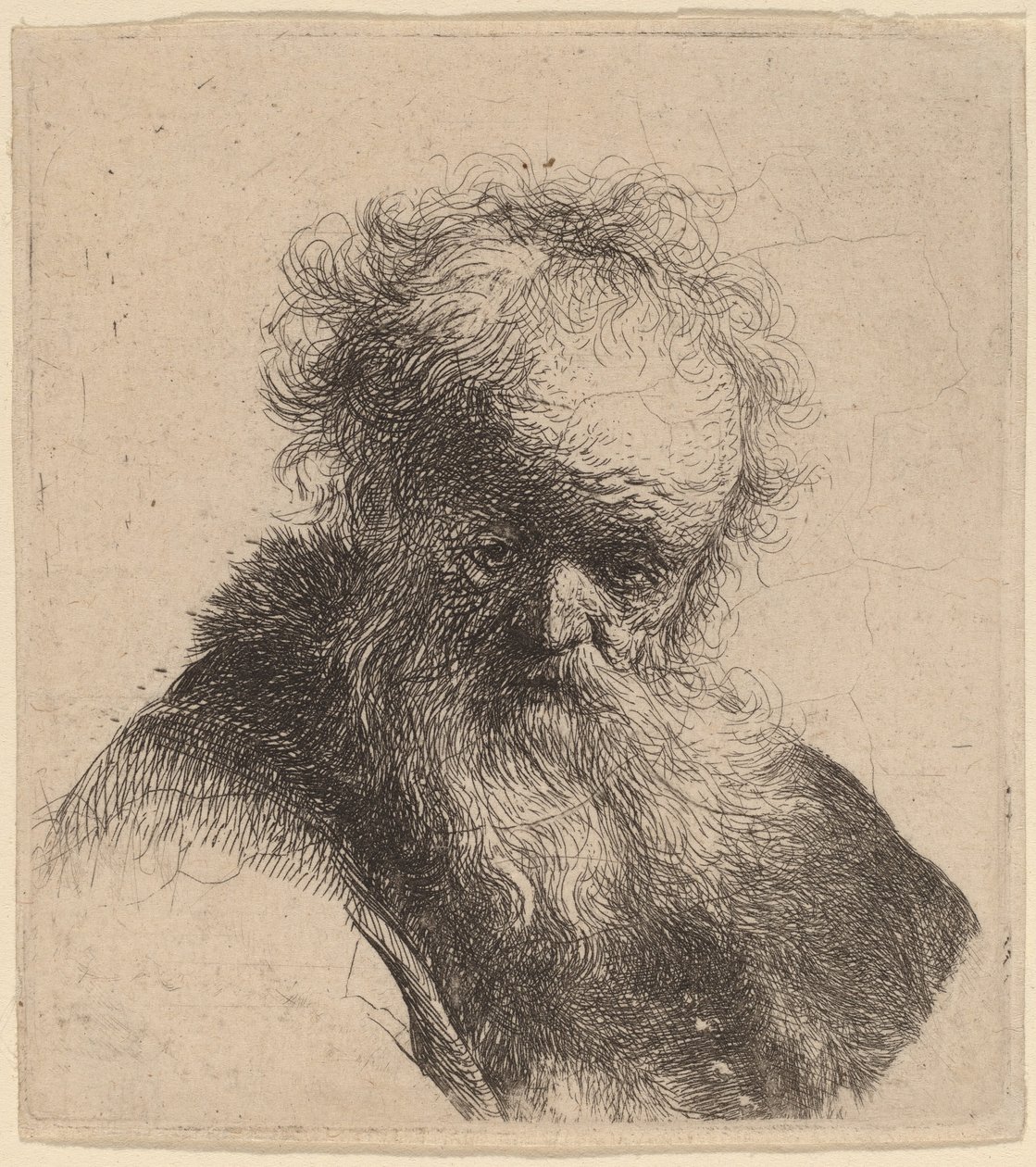 Bust af en gammel mand med flydende skæg og hvid ærme af Rembrandt van Rijn