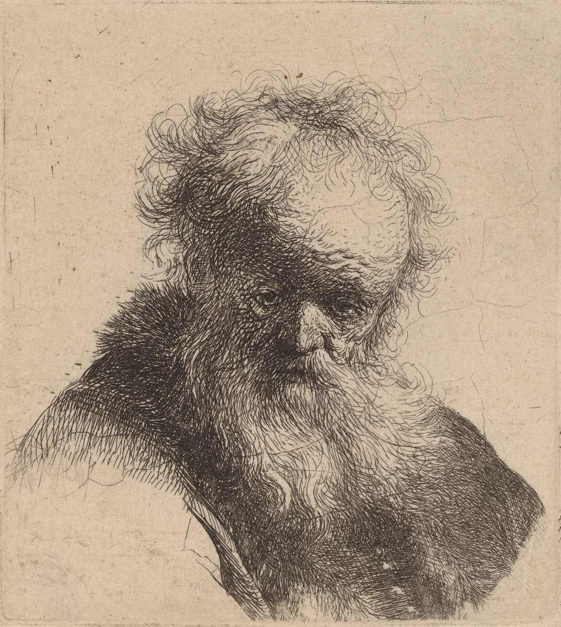Buste af en gammel mand med flydende skæg og hvidt ærme, ca. 1630. af Rembrandt van Rijn