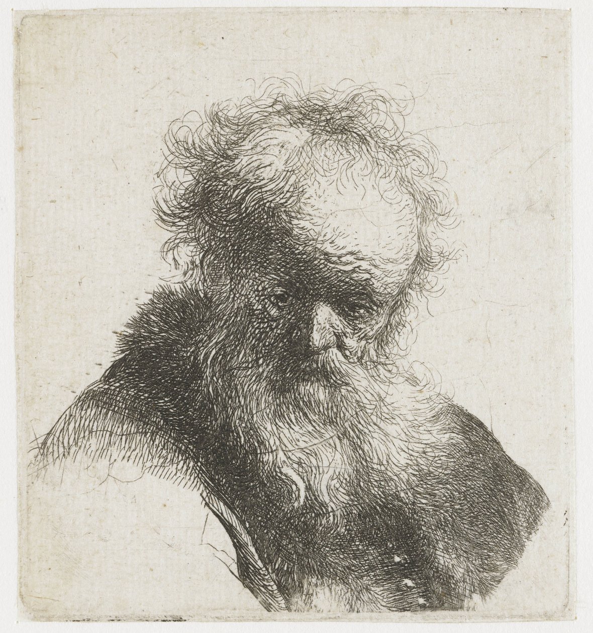 Buste af en gammel mand med flydende skæg og hvidt ærme af Rembrandt van Rijn
