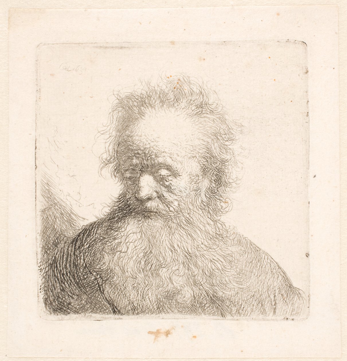 Buste af en gammel mand med et fyldigt skæg: hovedet næsten oprejst: blikket vendt nedad: kigger let mod venstre af Rembrandt van Rijn