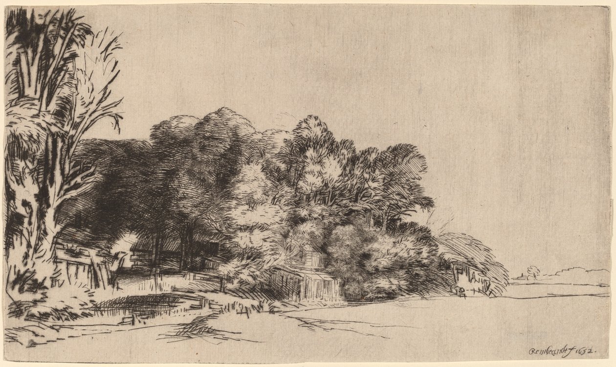 Træklump med en Vista af Rembrandt van Rijn