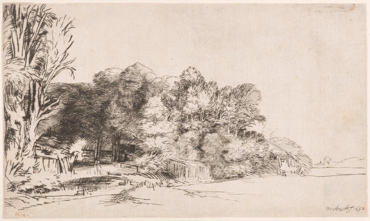 Træklump med en Vista af Rembrandt van Rijn