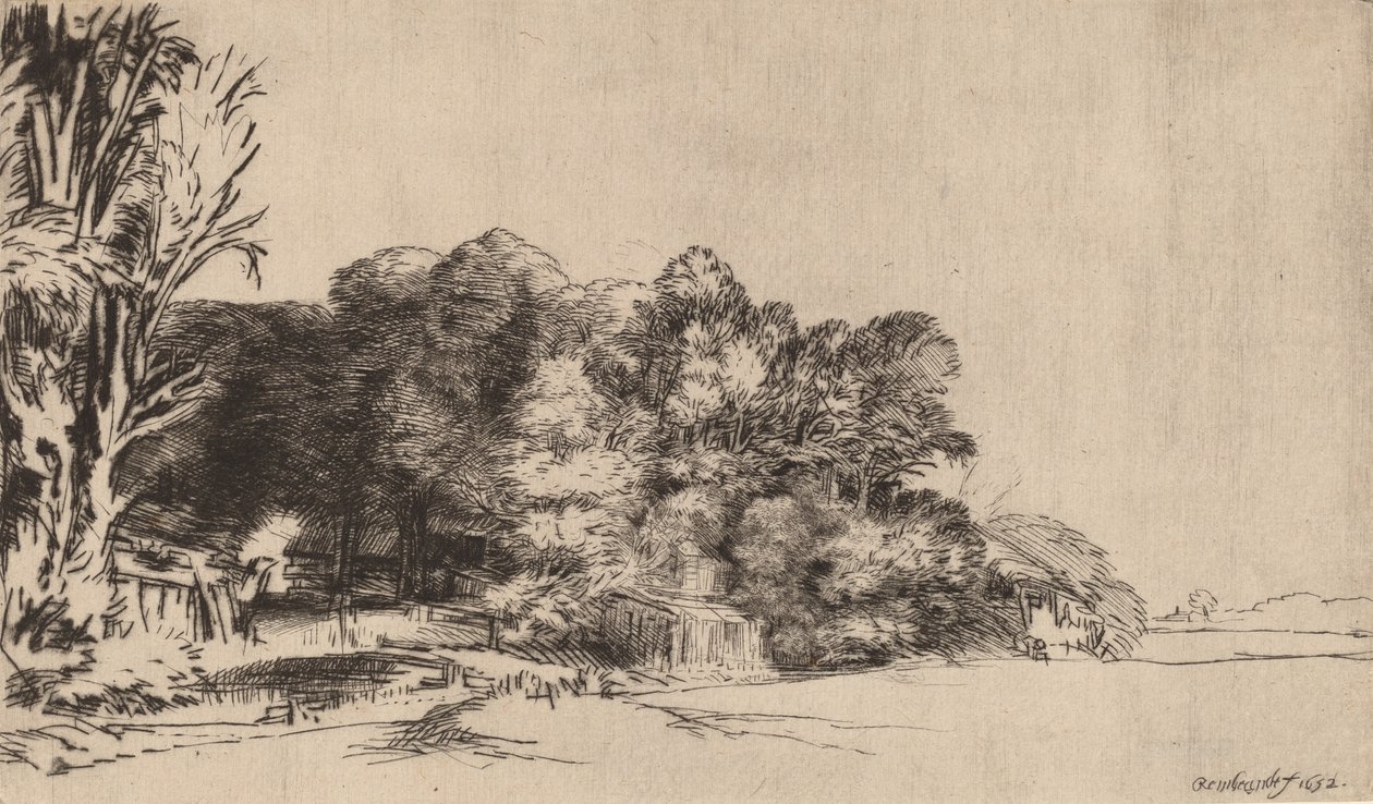 Træklump med udsigt, 1652. af Rembrandt van Rijn