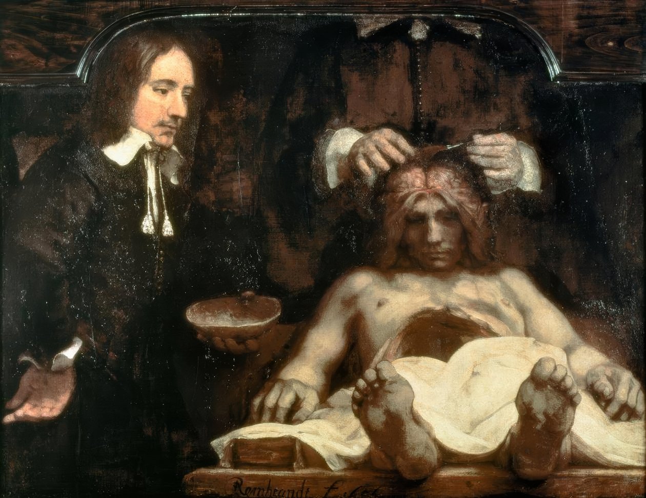 Anatomien af ​​Dr. Johan Deijman af Rembrandt van Rijn