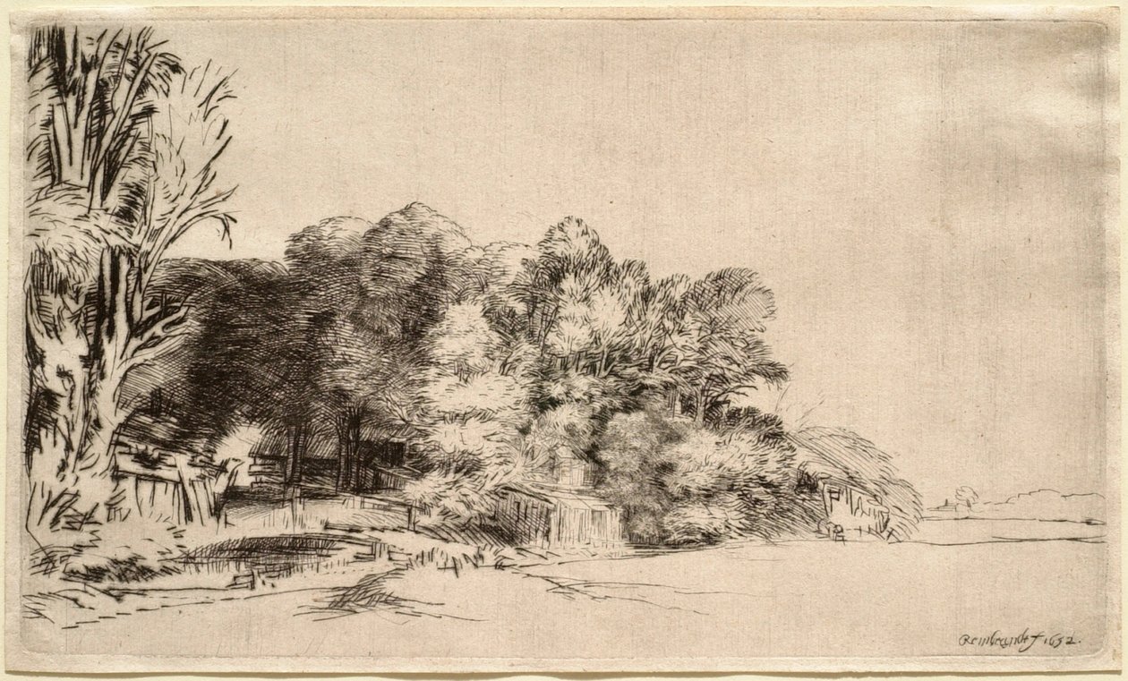 Landskab med en gruppe træer af Rembrandt van Rijn
