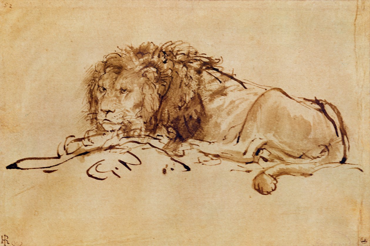 Løve hviler (pen og blæk på papir) af Rembrandt van Rijn
