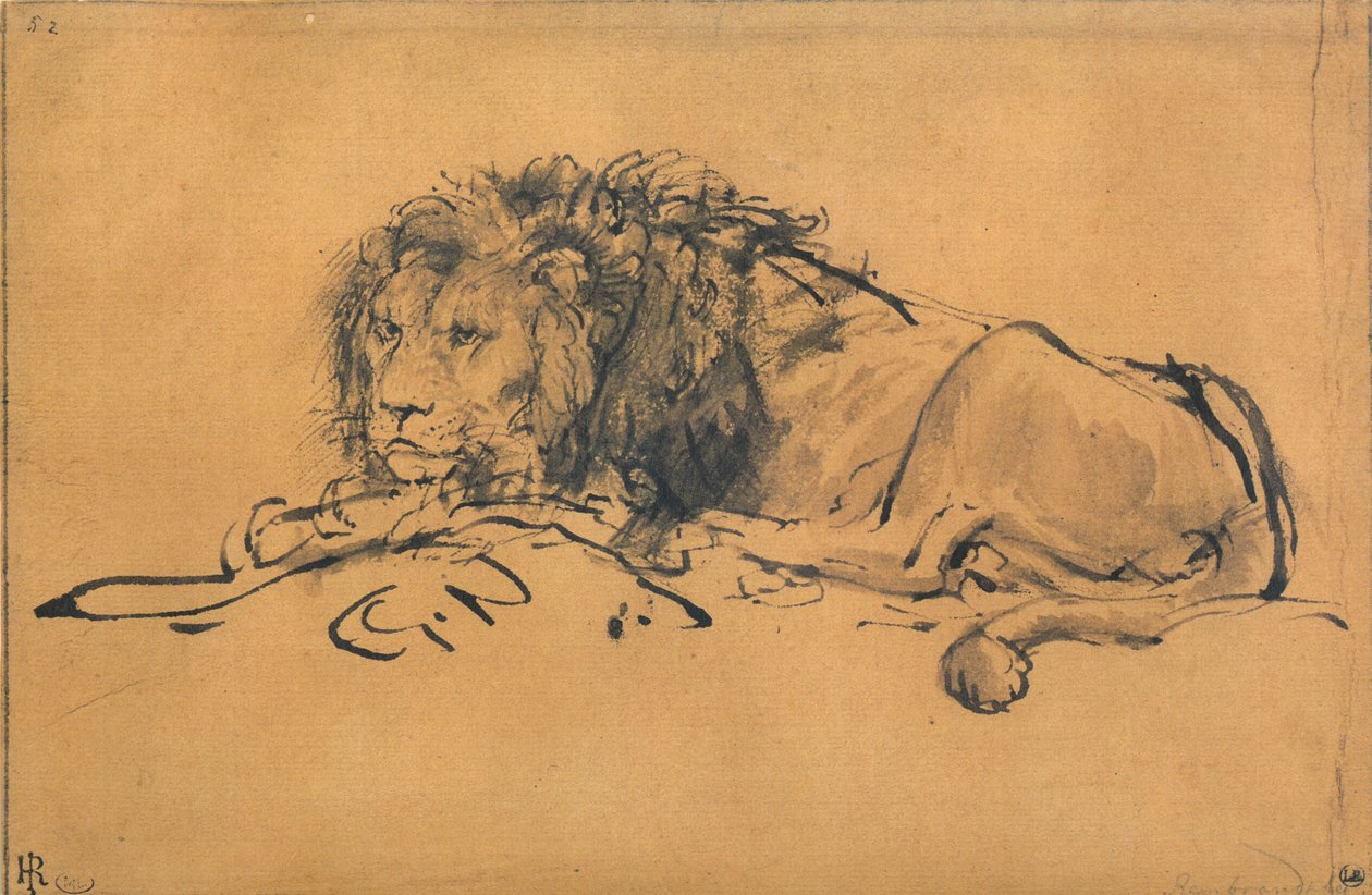 Løve hviler, drejet til venstre, c1650 af Rembrandt van Rijn