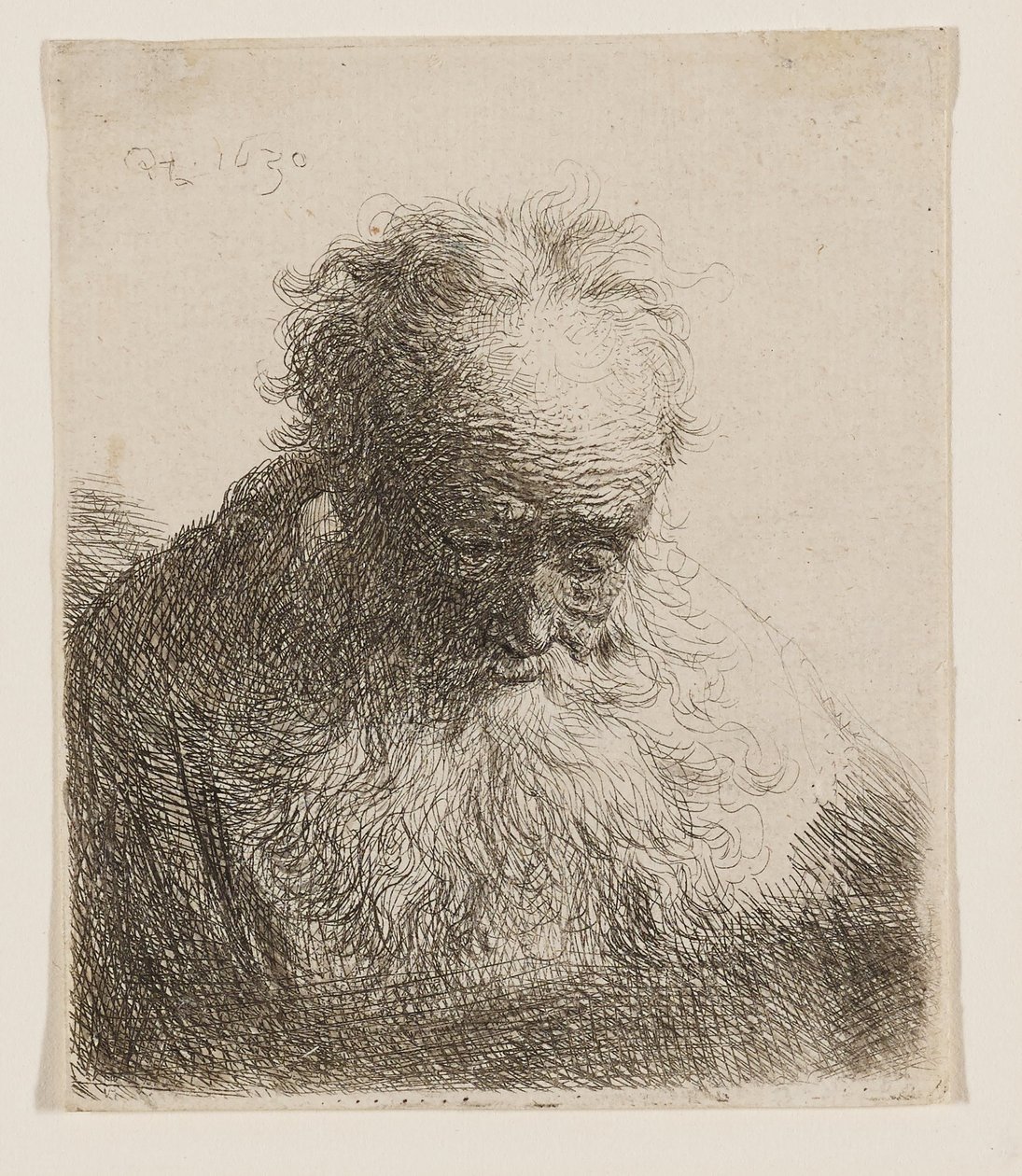 Gammel mand med langt skæg (hovedet bøjet fremad, venstre skulder uden skygge) af Rembrandt van Rijn