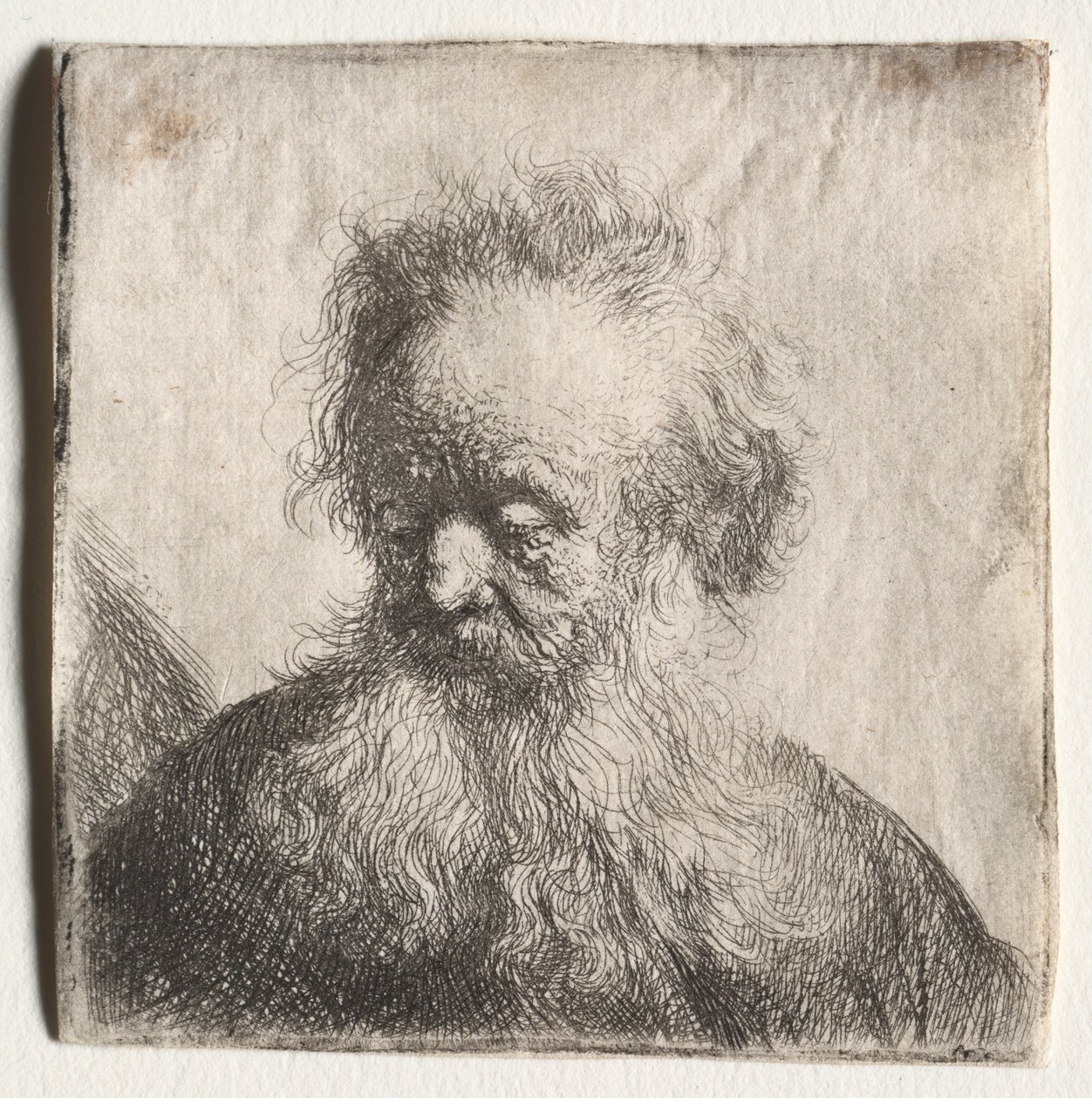 Gammel mand med flydende skæg: Buste, 1631. af Rembrandt van Rijn