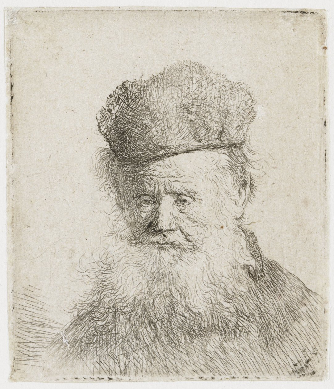 Gammel mand med pelshat og langt skæg af Rembrandt van Rijn
