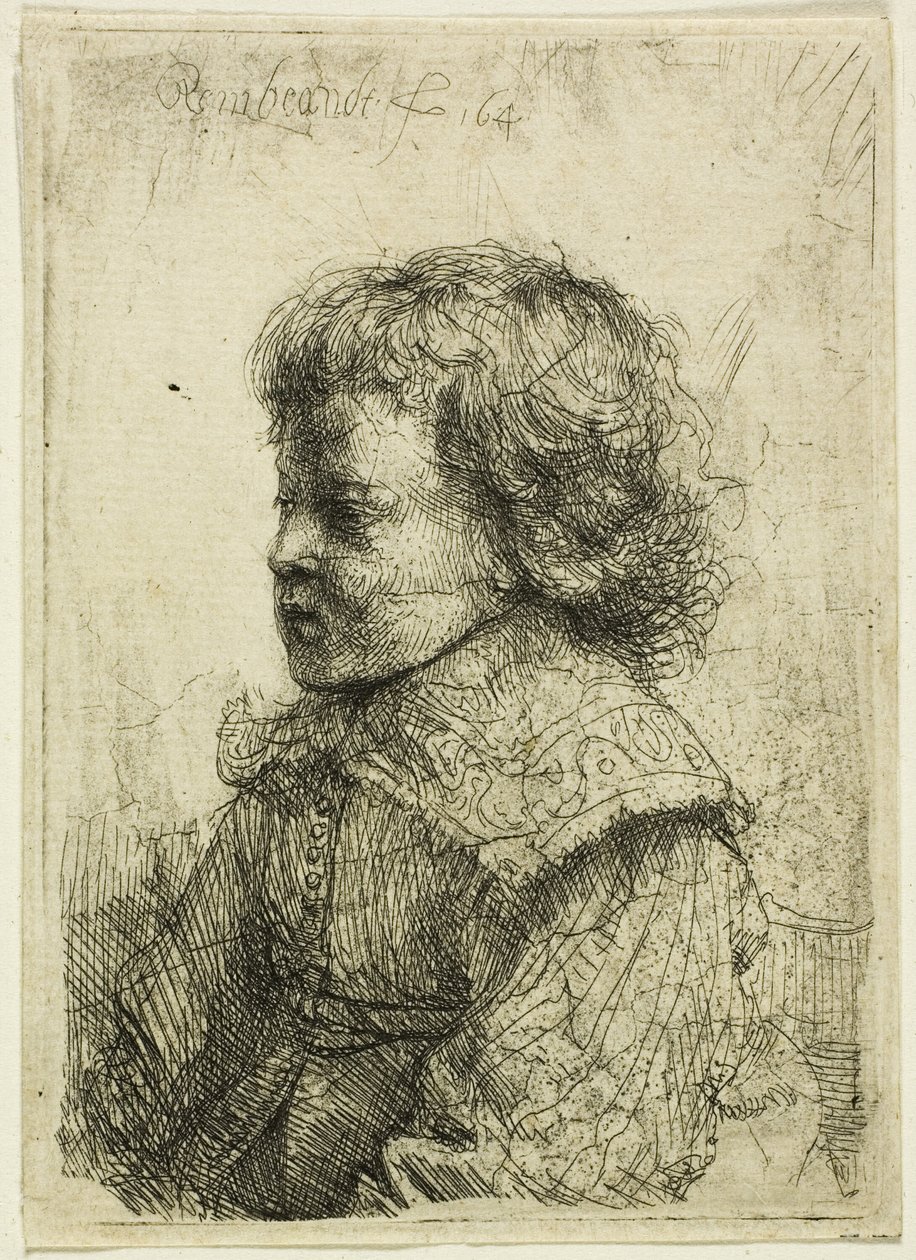 Portræt af en dreng af Rembrandt van Rijn
