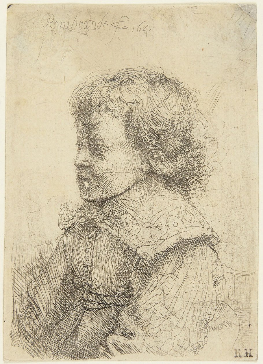 Portræt af en dreng af Rembrandt van Rijn