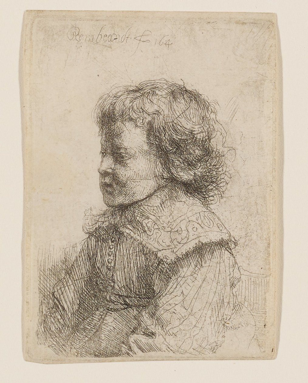 Portræt af en dreng set i profil af Rembrandt van Rijn