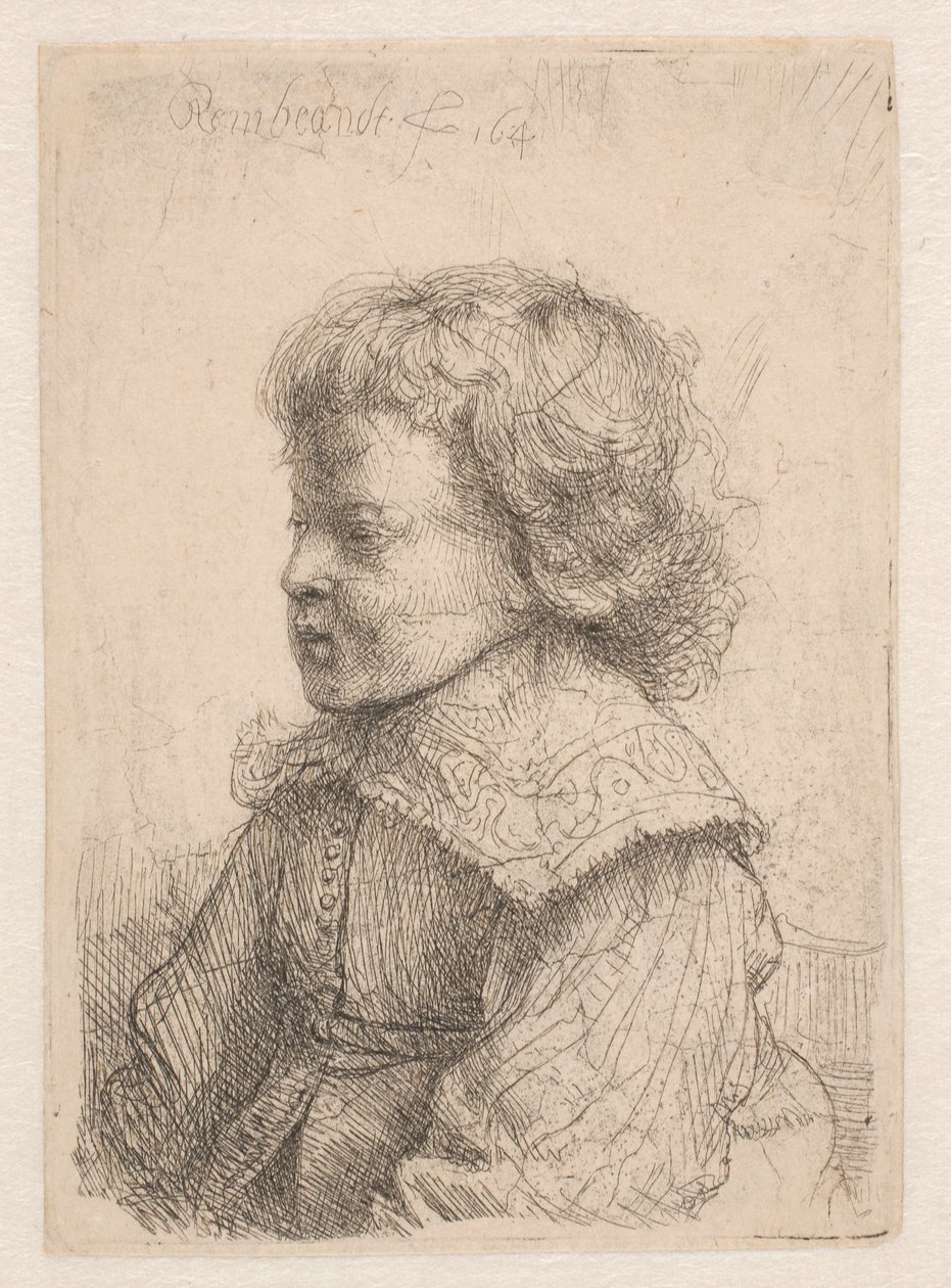 Portræt af en dreng, set i profil af Rembrandt van Rijn