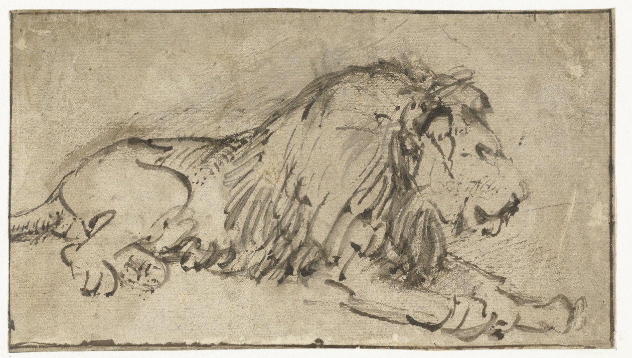 Den liggende løve af Rembrandt van Rijn