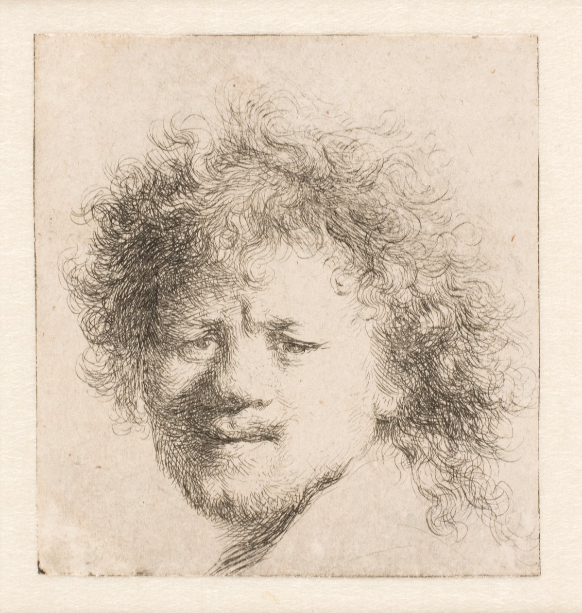 Rembrandt med langt, fyldigt hår: kun hovedet af Rembrandt van Rijn