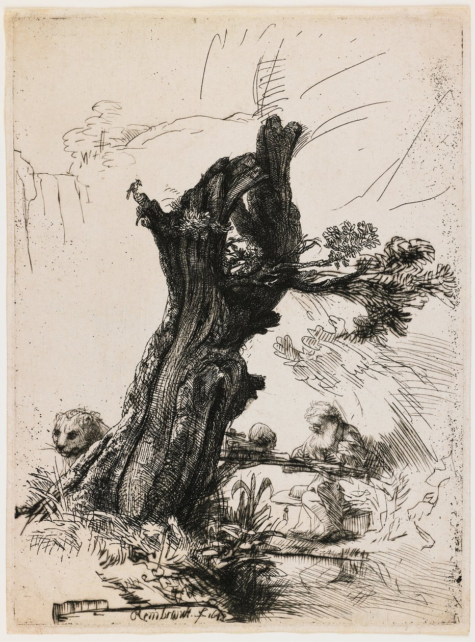 Den hellige Hieronymus ved den beskårne pil af Rembrandt van Rijn