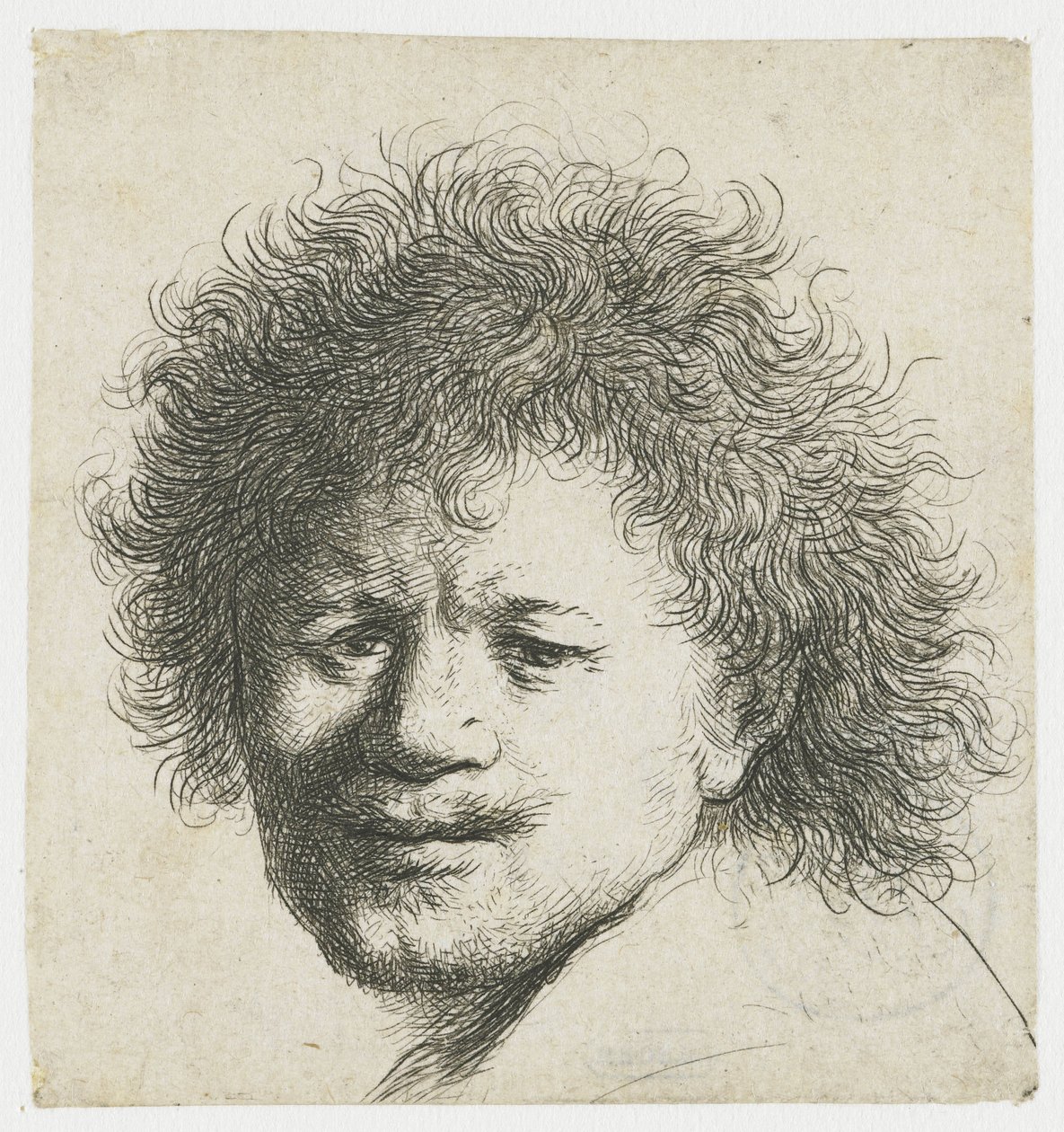 Selvportræt med langt busket hår: kun hoved af Rembrandt van Rijn