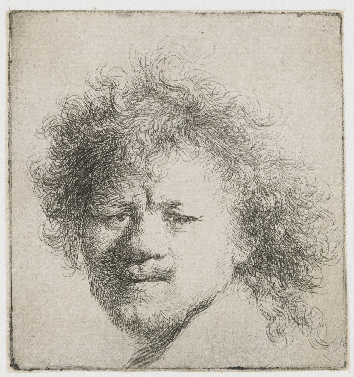 Selvportræt med langt busket hår: kun hoved af Rembrandt van Rijn