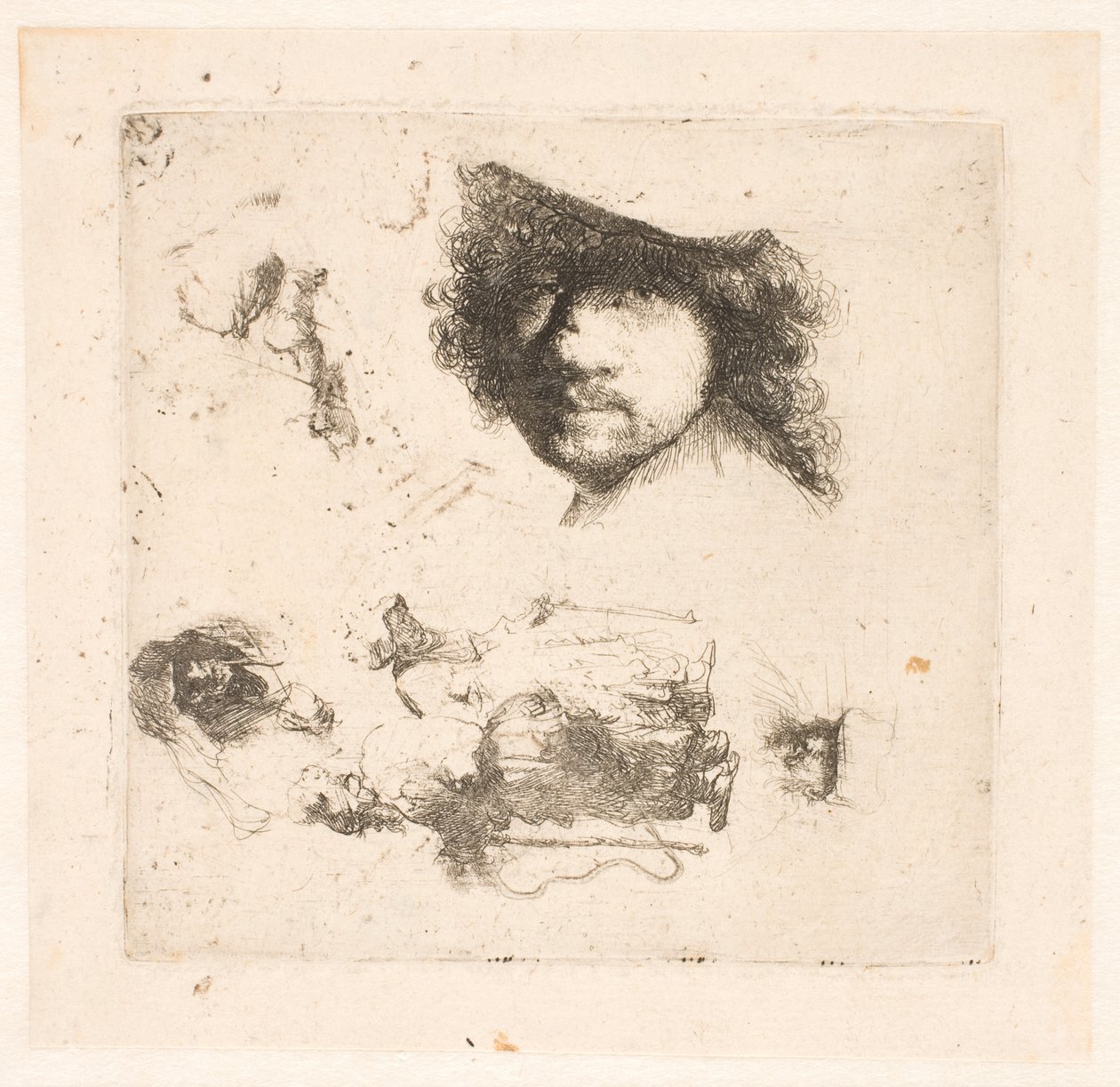 Ark med studier: leder af Rembrandt, tiggerpar, ledere af gammel mand og gammel kvinde osv. af Rembrandt van Rijn