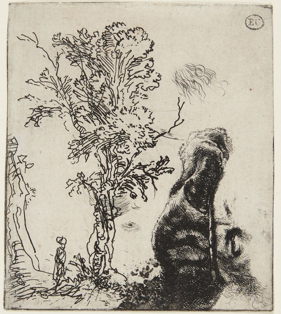 Ark med to studier: Et træ og den øverste del af et selvportræt med en fløjlshue af Rembrandt van Rijn