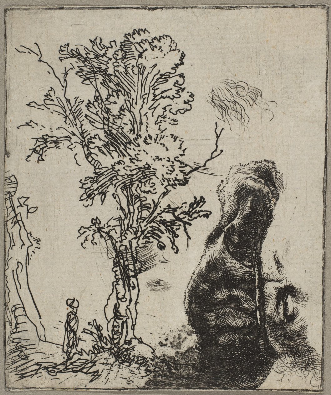 Ark med to studier: Et træ og den øverste del af et hoved af Rembrandt iført vel..., ca. 1642. af Rembrandt van Rijn