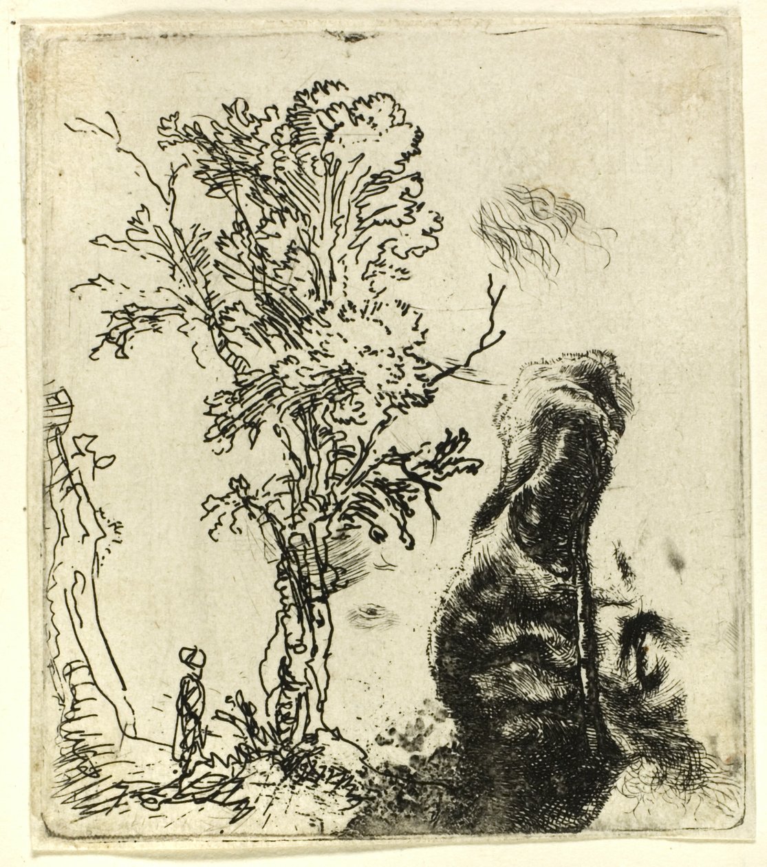 Ark med to studier: Et træ og den øverste del af kunstnerens hoved iført fløjlskasket af Rembrandt van Rijn