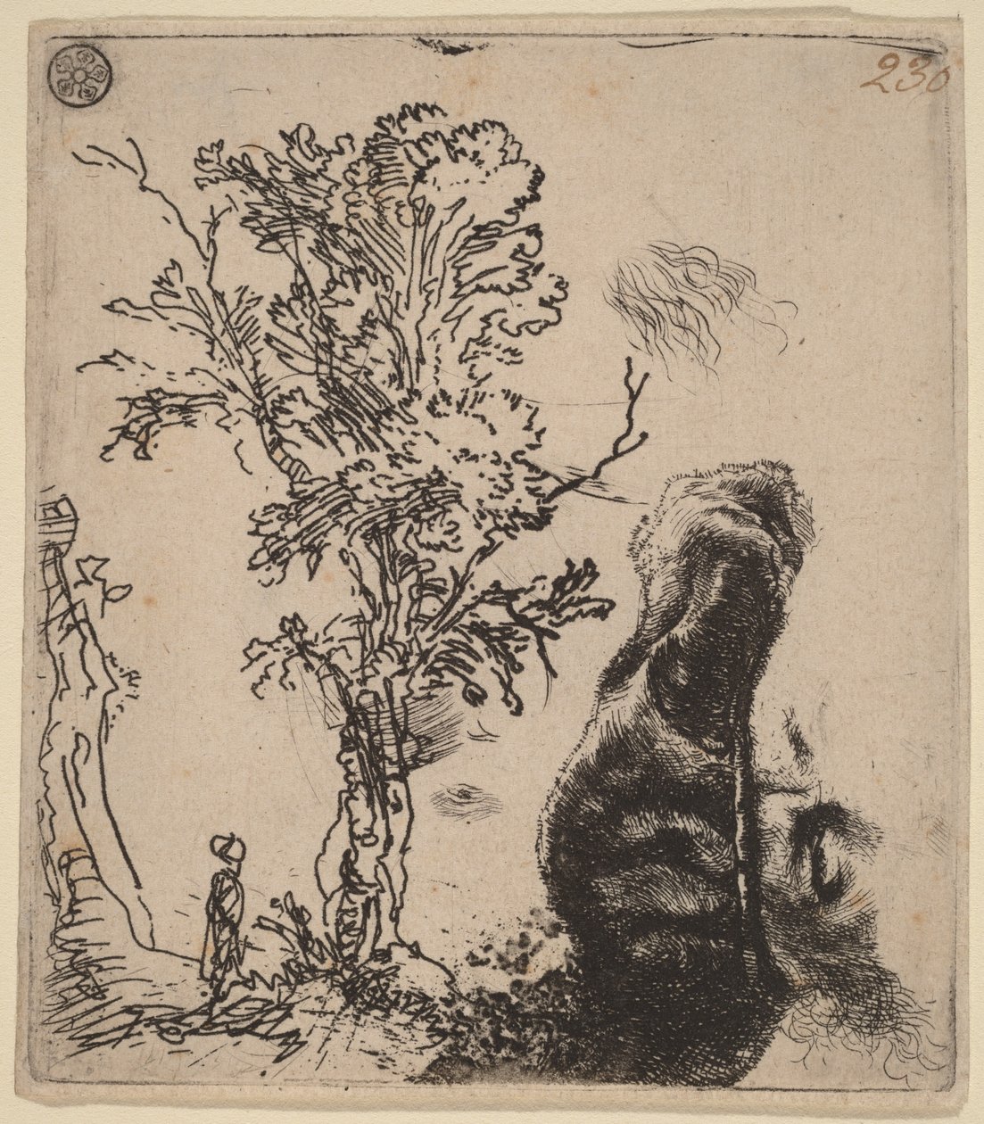 Tegning med to studier: et træ og den øverste del af kunstnerens hoved iført en fløjlshue af Rembrandt van Rijn