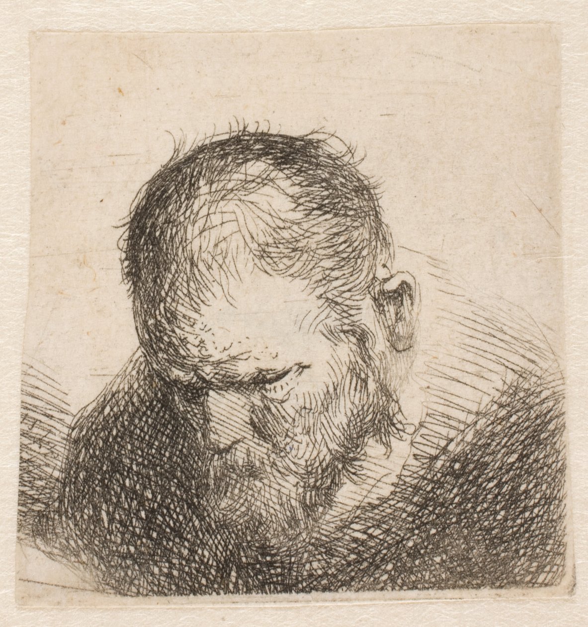 Lille buste af en skægget mand, der ser ned, med næsten lukkede øjne af Rembrandt van Rijn