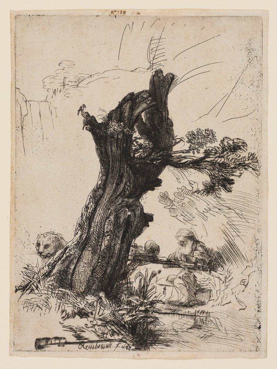 St. Jerome ved siden af en pollard pil af Rembrandt van Rijn