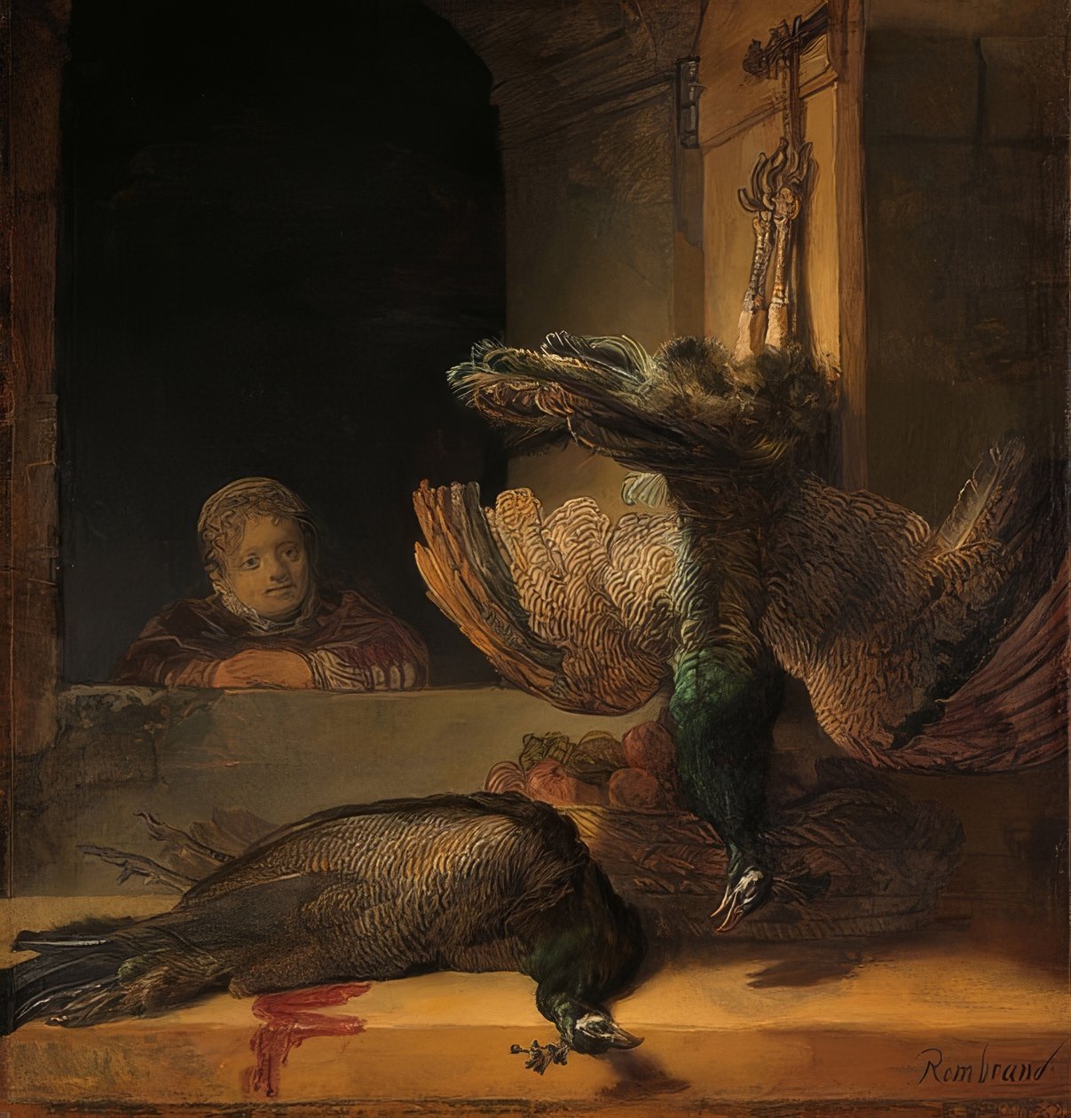 Stilleben med påfugle. Omkring 1639 af Rembrandt van Rijn