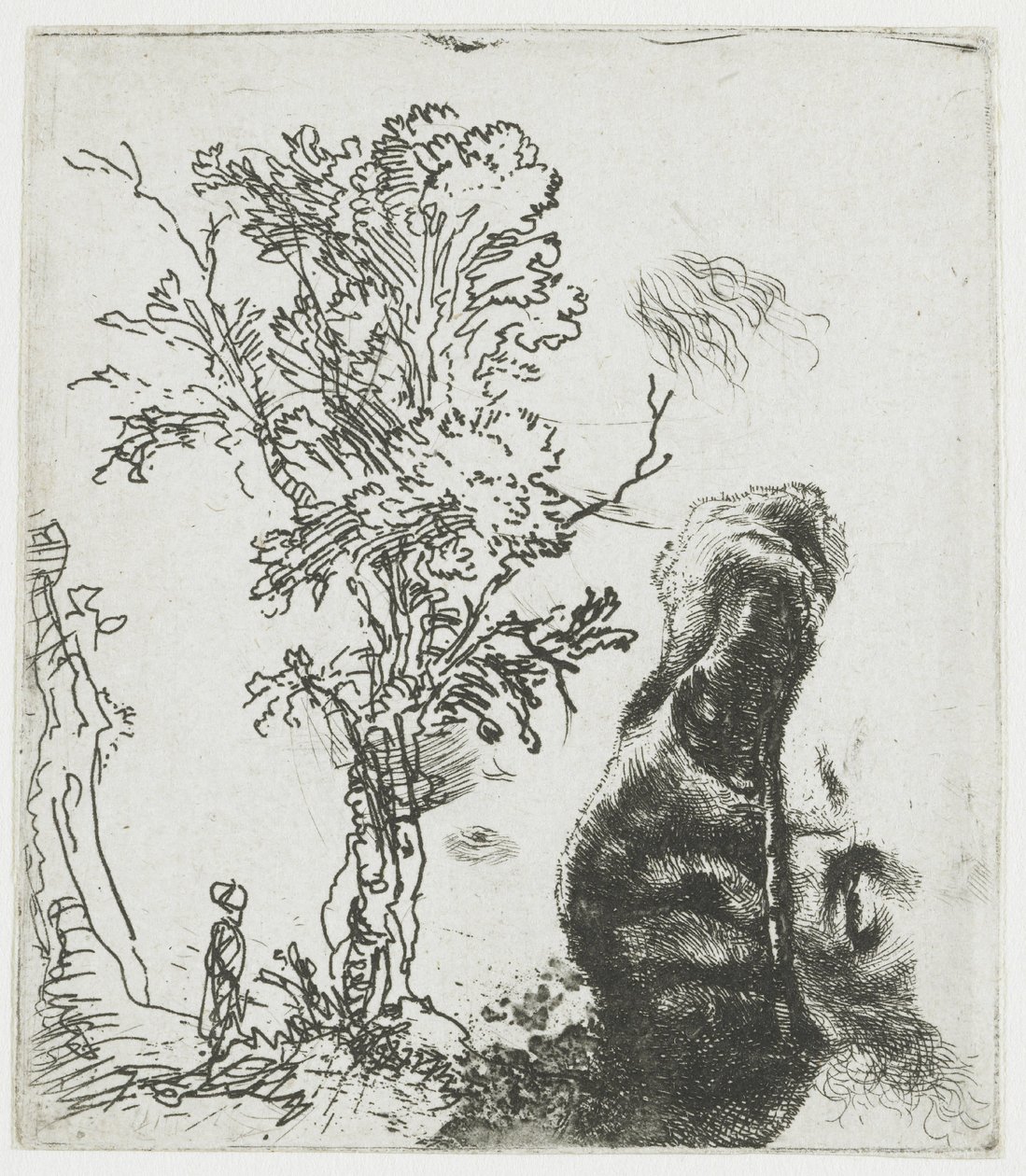 Tegning med et træ og den øverste del af Rembrandts hoved med baret af Rembrandt van Rijn