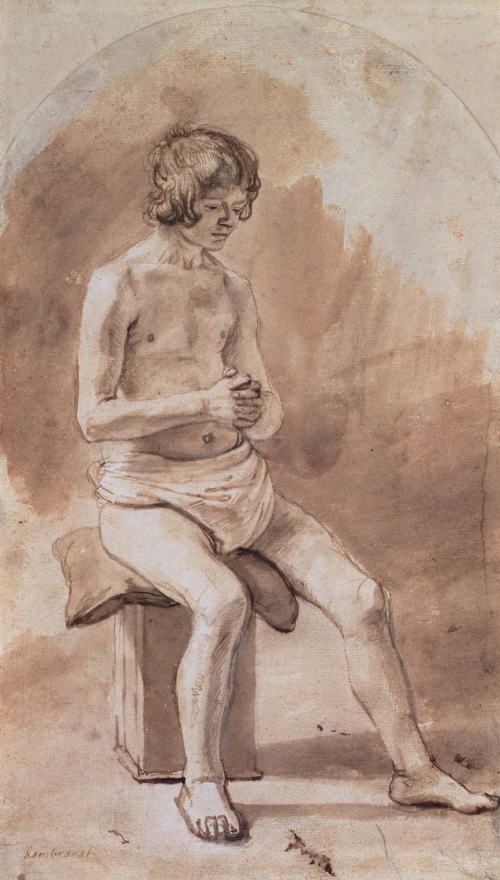 Studie af en nøgen ungdom af Rembrandt van Rijn