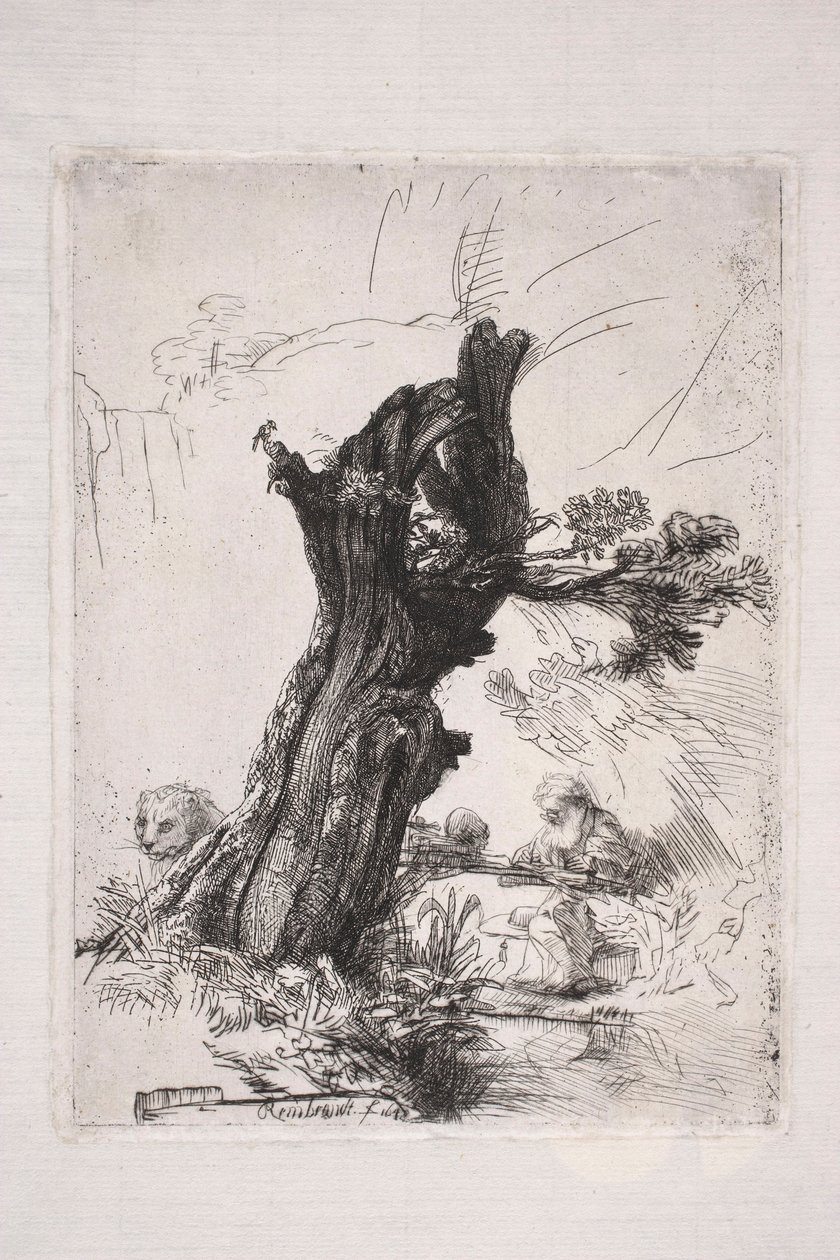 Den hellige Hieronymus, der skriver ved en piletræstamme af Rembrandt van Rijn