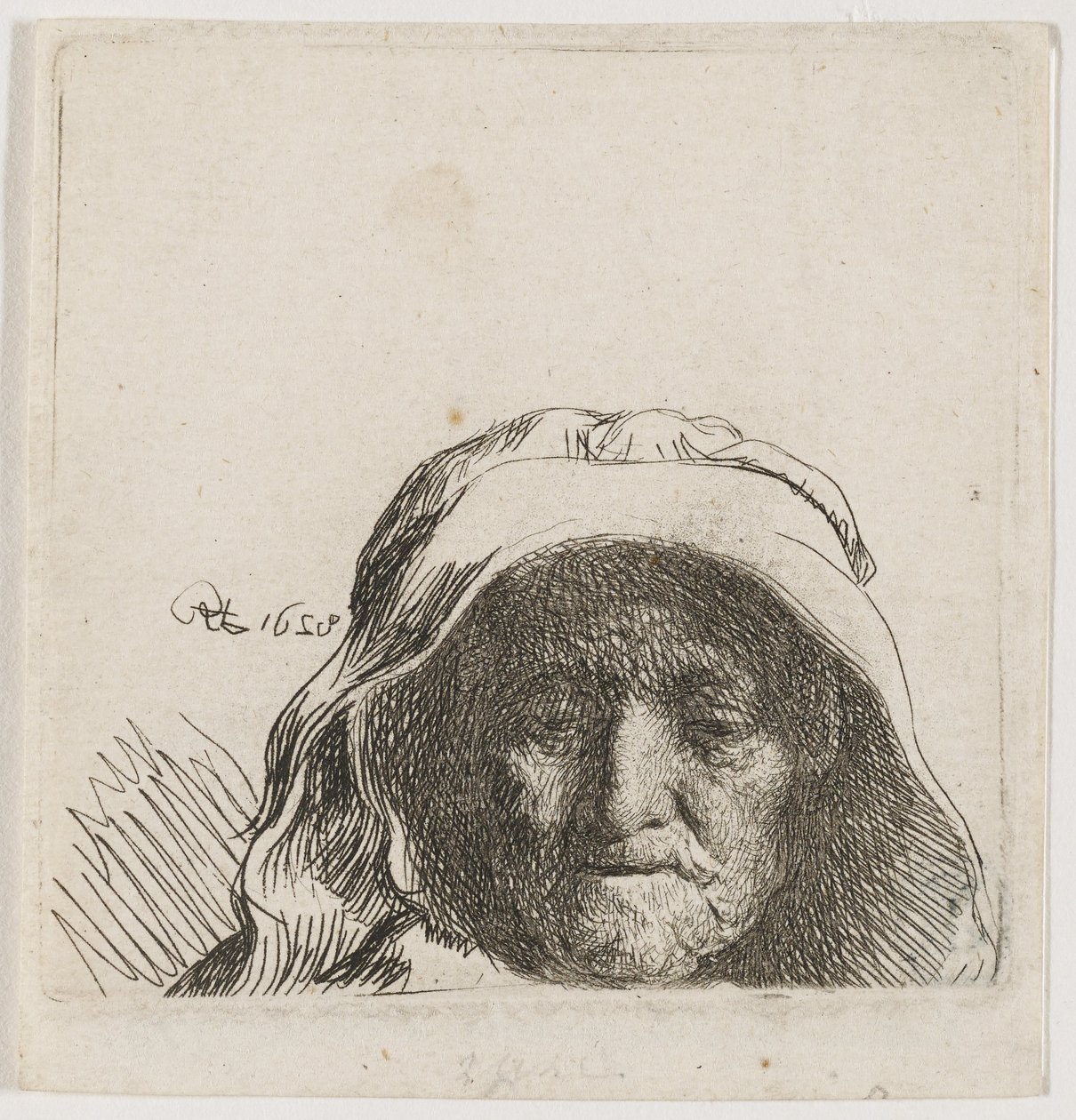 Kunstnerens mor: Kun hovedet, set forfra af Rembrandt van Rijn