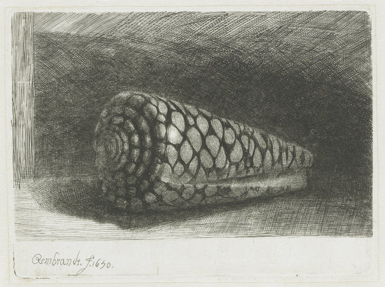 Skallen af Rembrandt van Rijn