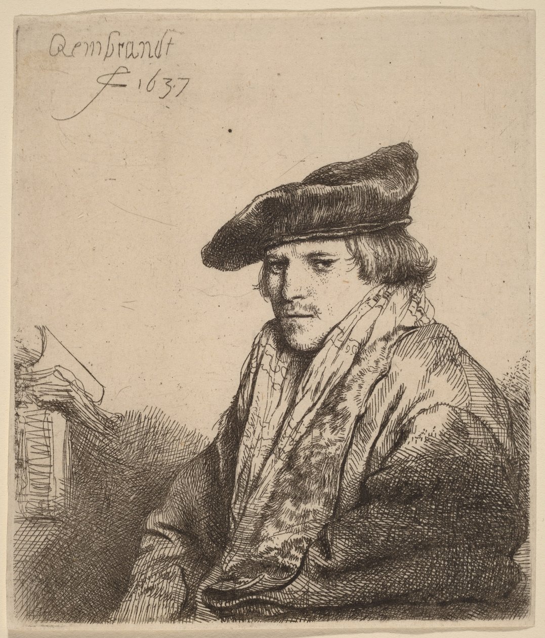 Ung mand med fløjlshue (Petrus Sylvius) af Rembrandt van Rijn