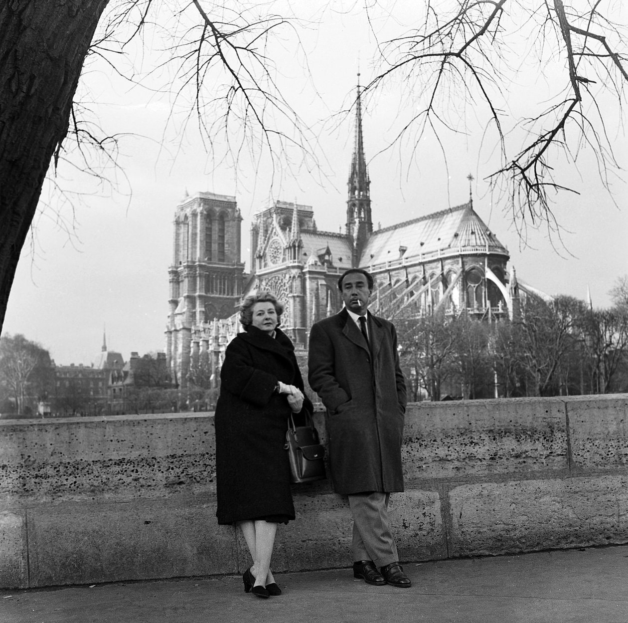Romain Gary af René Saint Paul