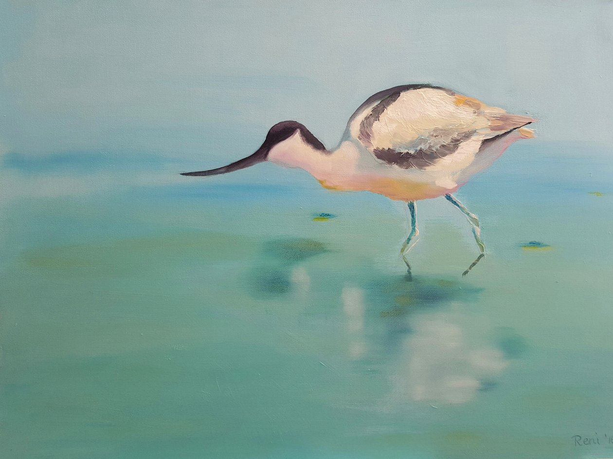 Avocets af Renate Dohr